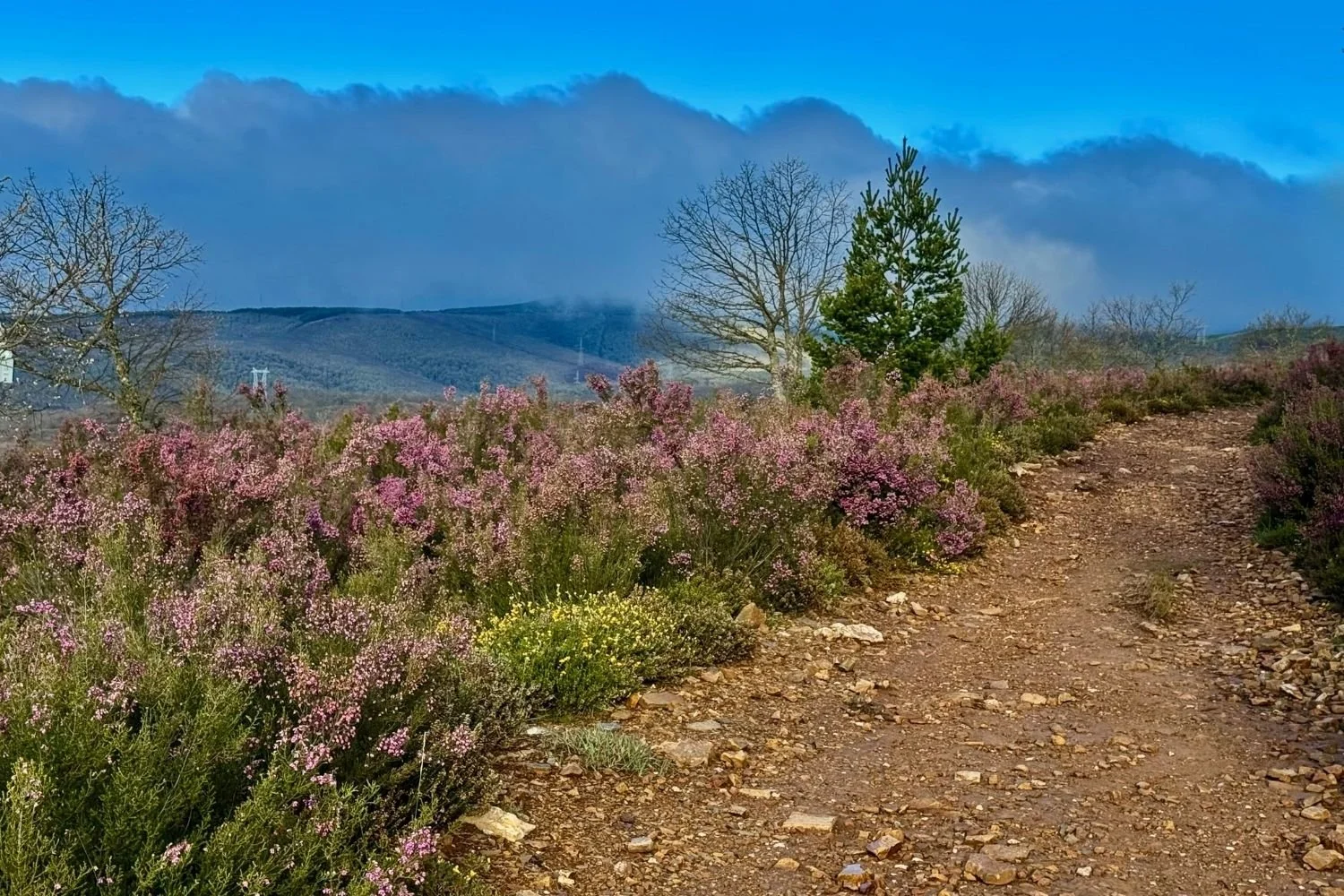 Camino Frances Trail inear Rabanal (1500 x 1000 px).jpg