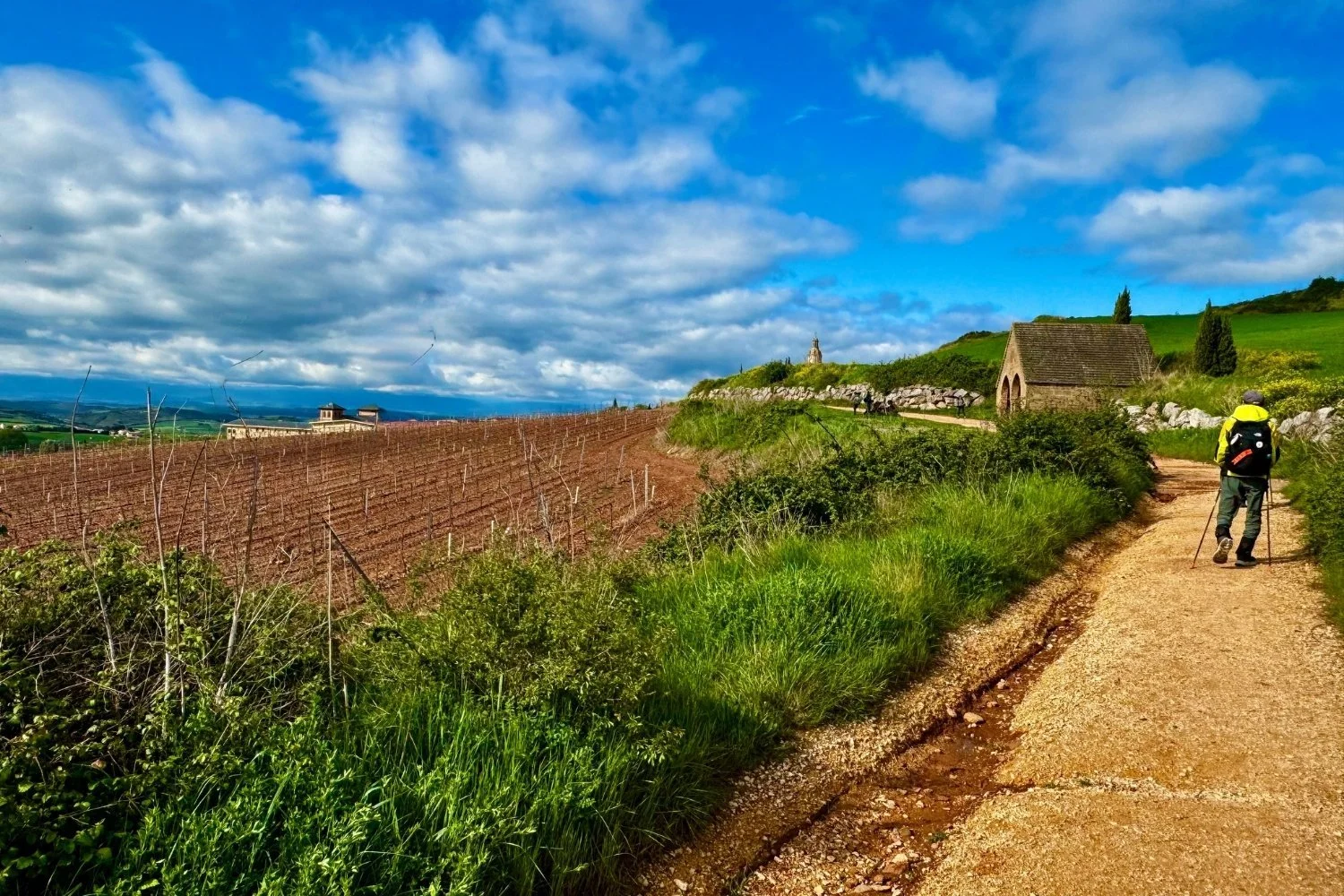 Camino Frances Trail through Rioja