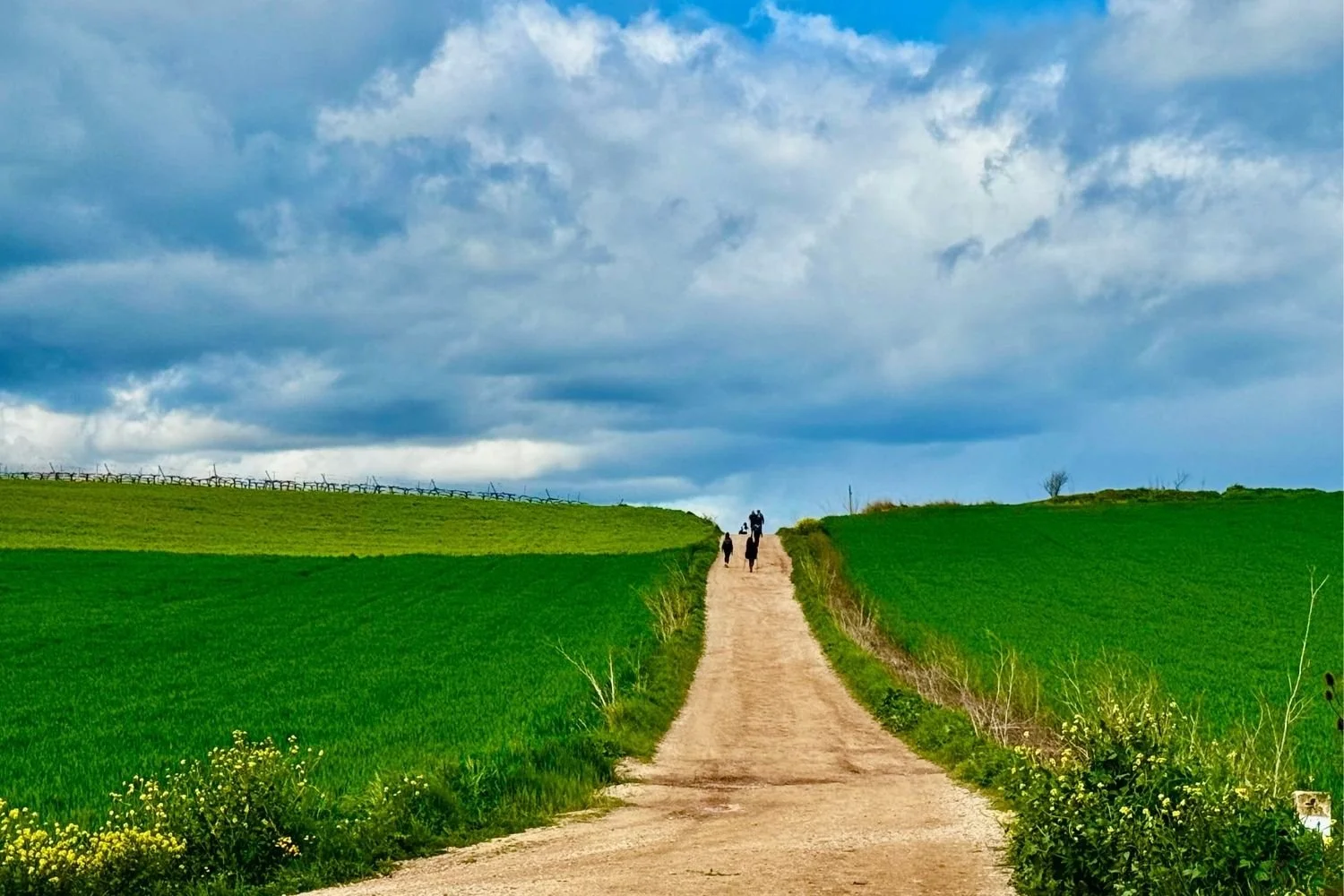 Camino Frances Trail to Los Arcos
