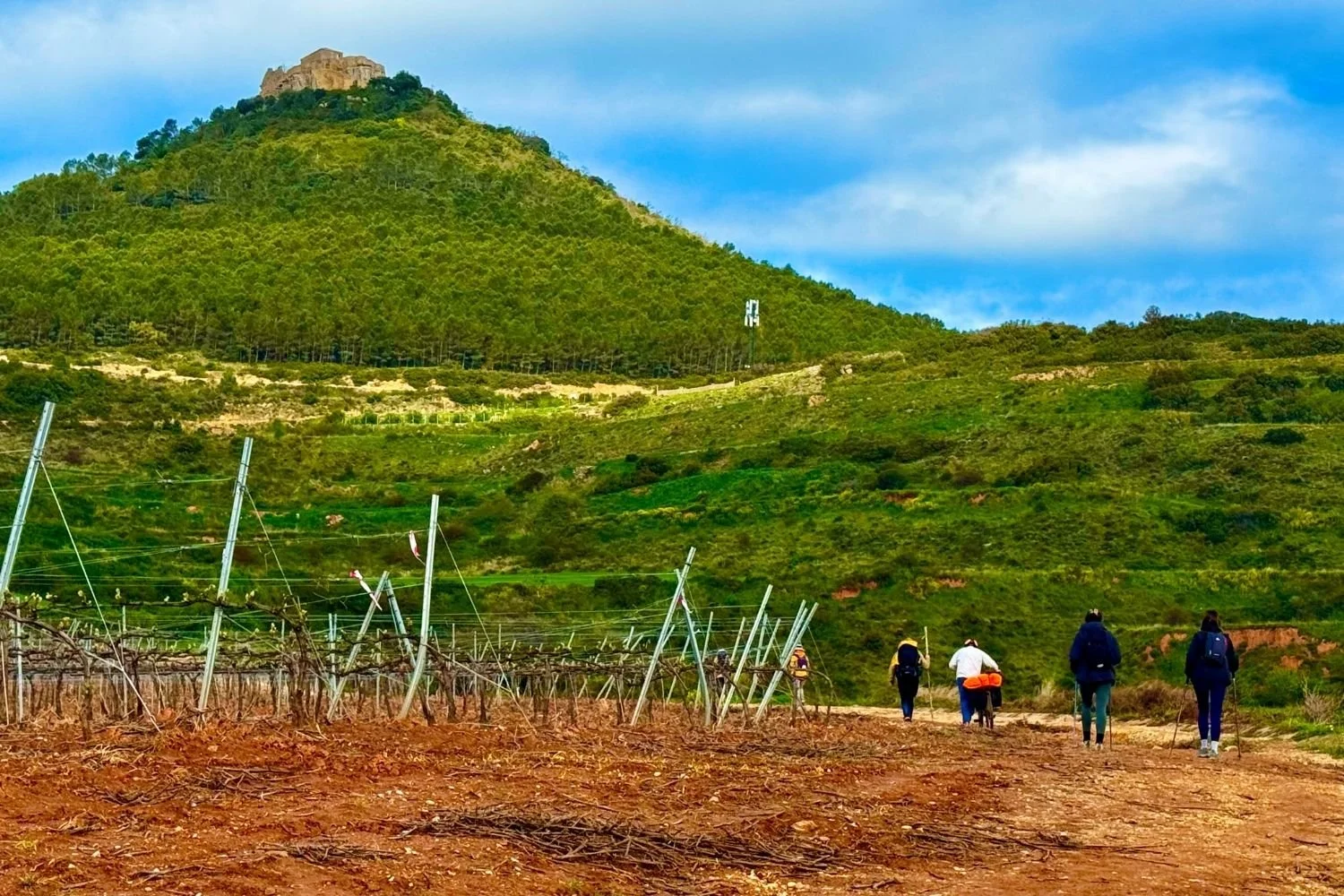 Camino Frances Villamayor de Monjardin