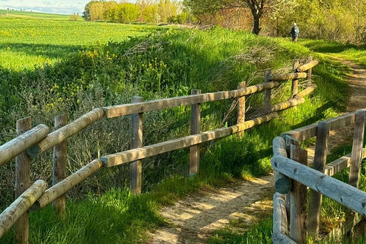 Camino Frances River Trail 