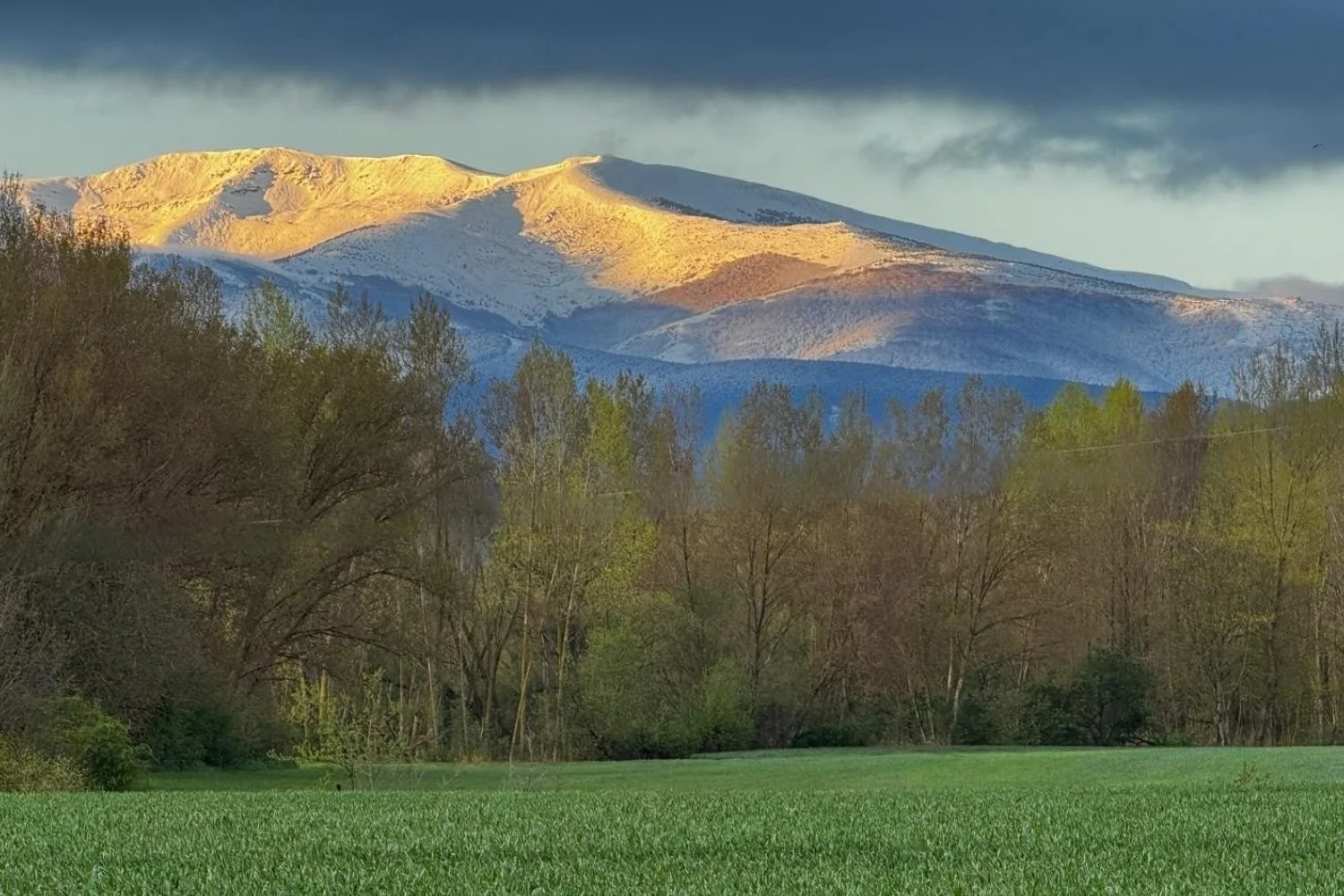 Camino Frances Stage 11: Santo Domingo de la Calzada to Belorado