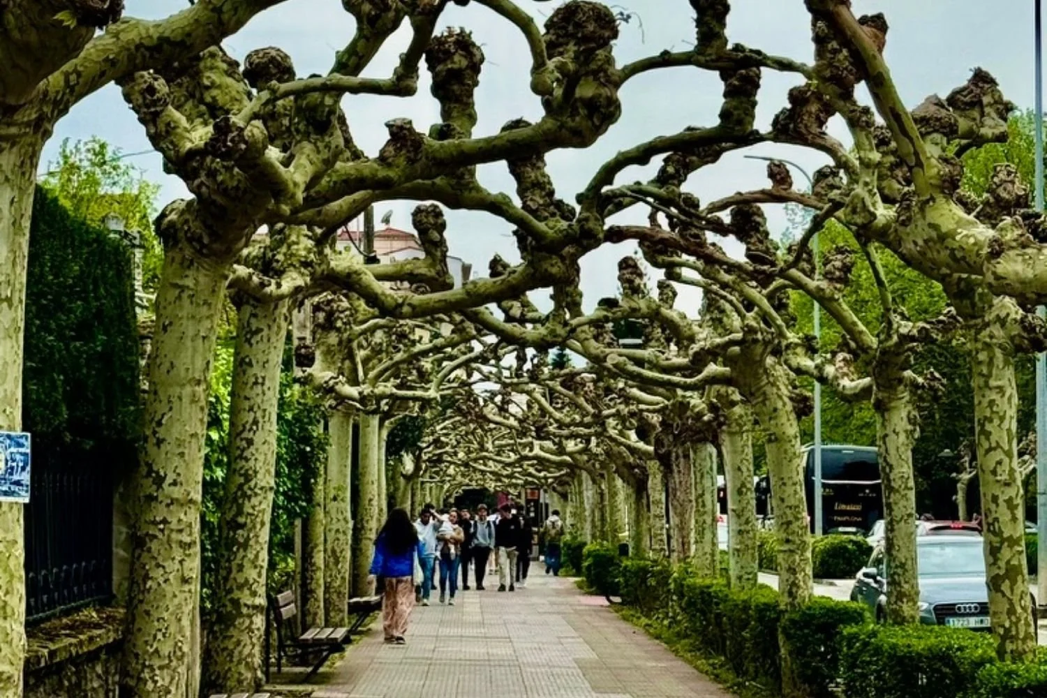 Camino Frances, downtown Pamplona
