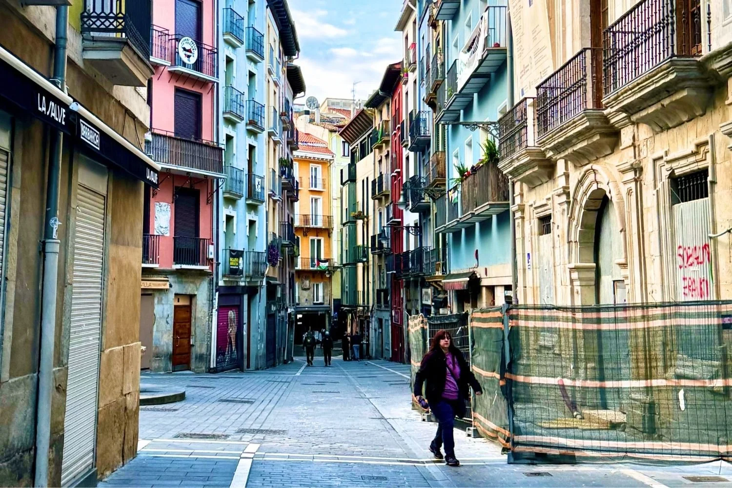 Camino Frances Stage 4: Zubiri to Pamplona