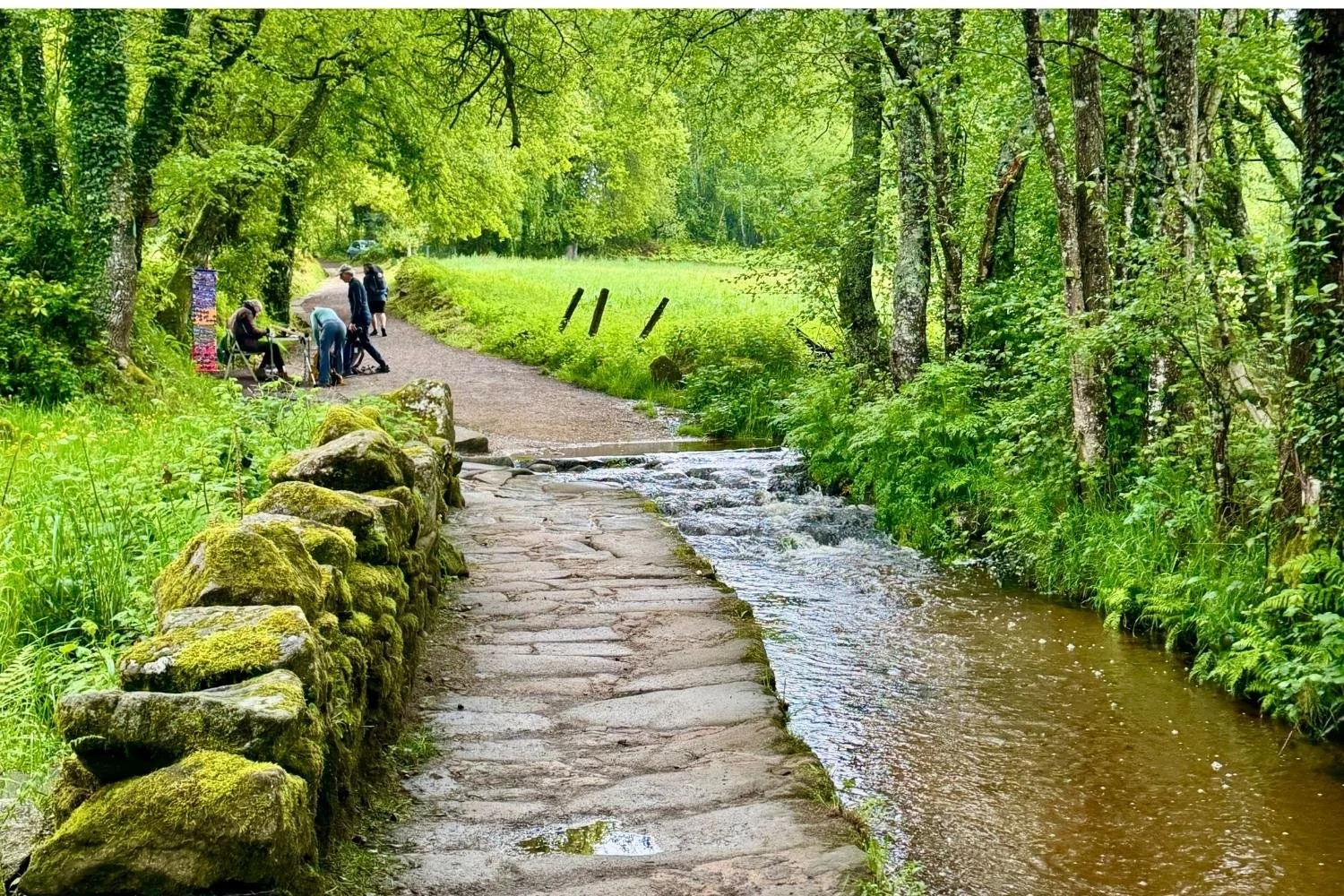 Camino Francés Creek Crossing in Sarria
