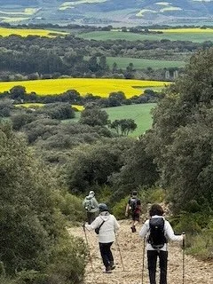 Camino Francés Hikers Leaving Altpode Perdon