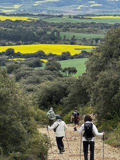 Camino Francés Pilgrims Hiking Down Alto de Perdon