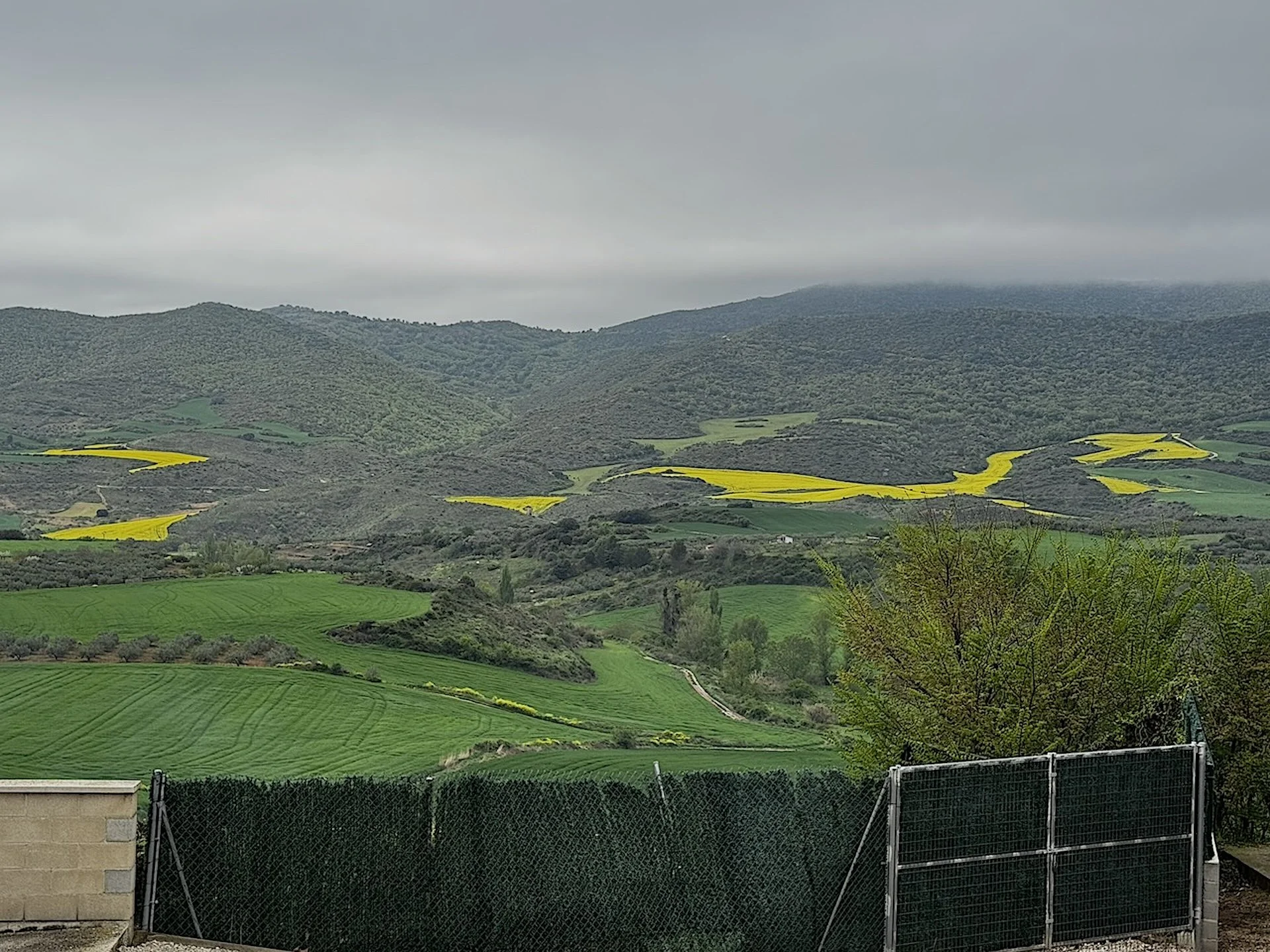 Camino Frances View from Alto de Perdon