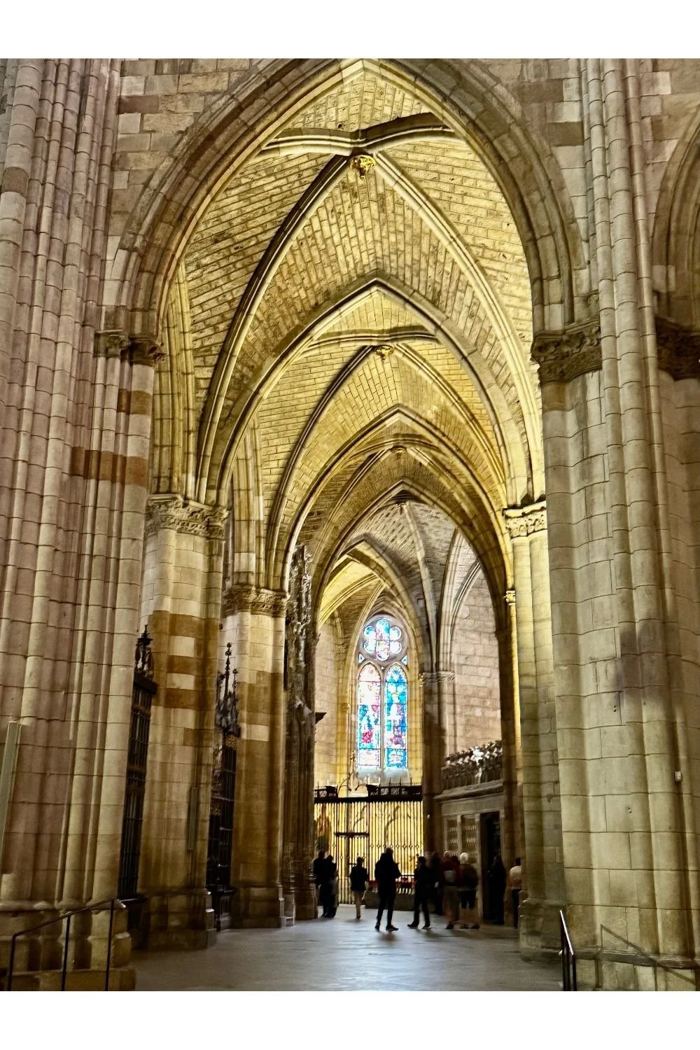 Camino Francés León Cathedral Vaults