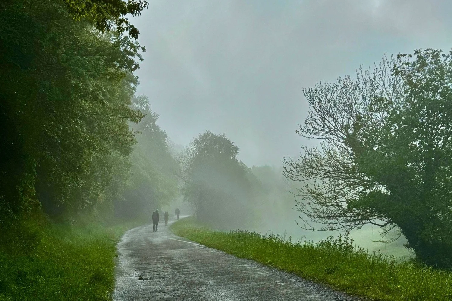Camino Francés Pilgrims in Morning Mist