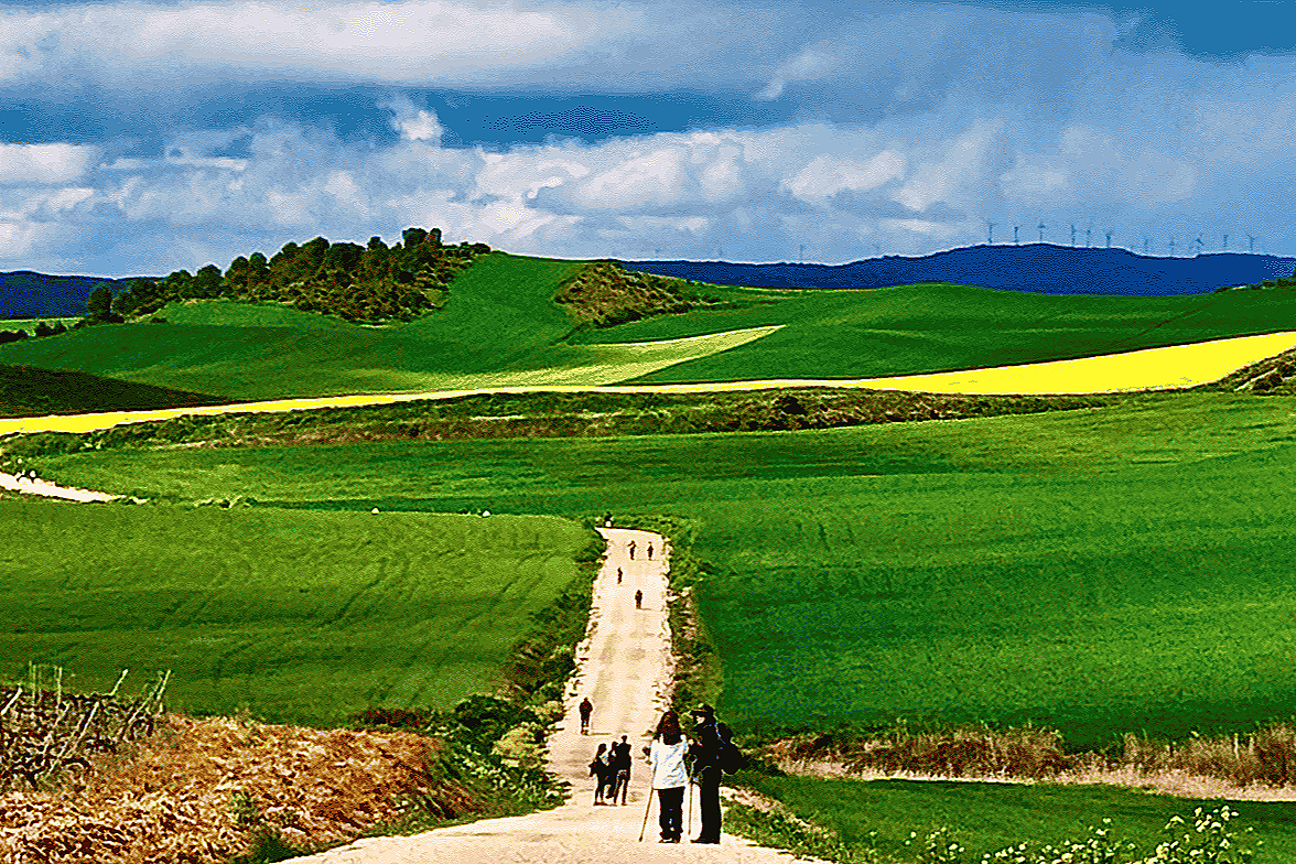Camino Francés Stage 8: Sansol to Logroño