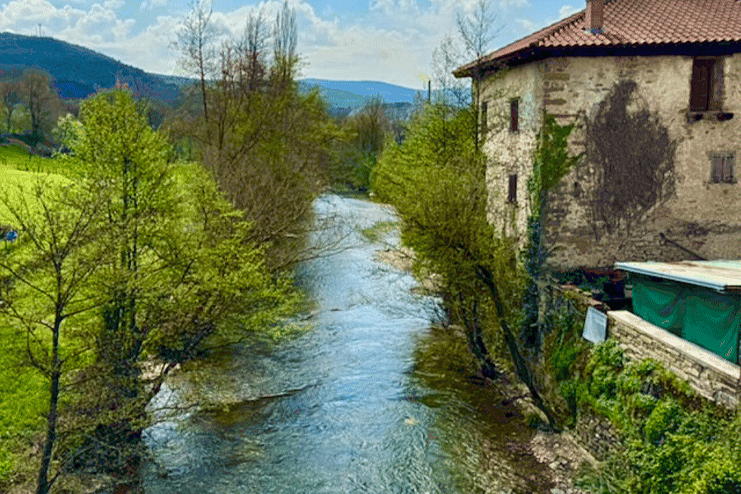 Camino Frances Stage 3:Burguete to Zubiri