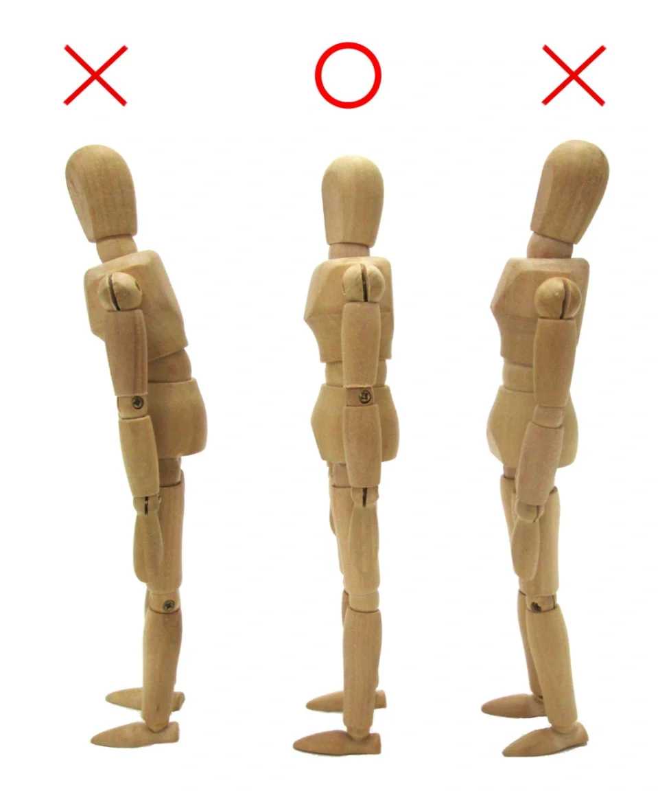 model view of anterior and posterior postures compared to neutral