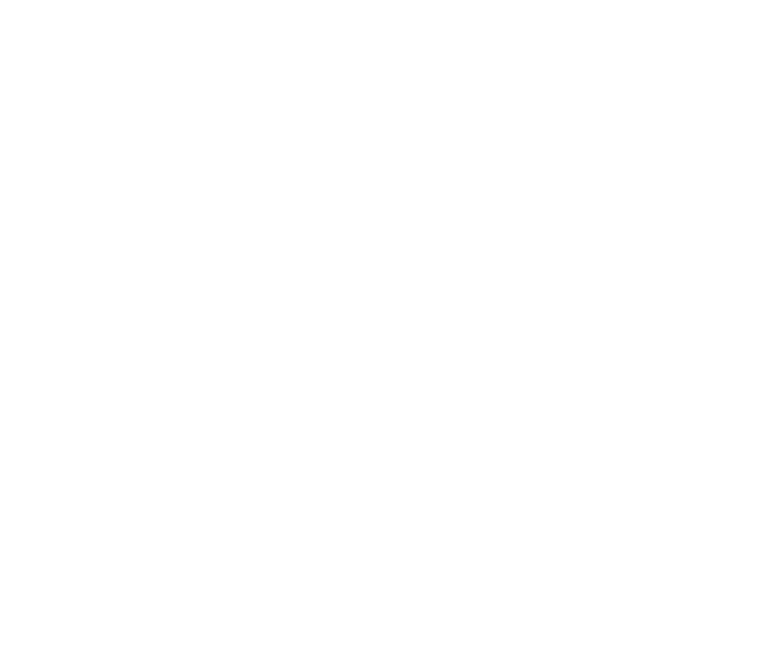 Outline of a medal with a star inside and two ribbons hanging below.