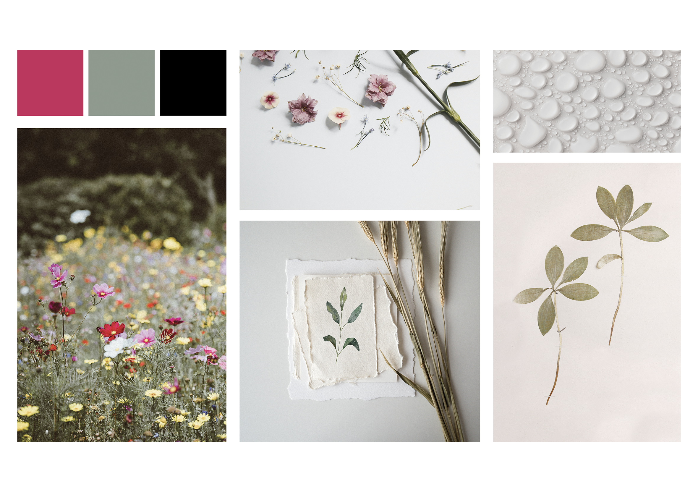 moodboardmockup.webp