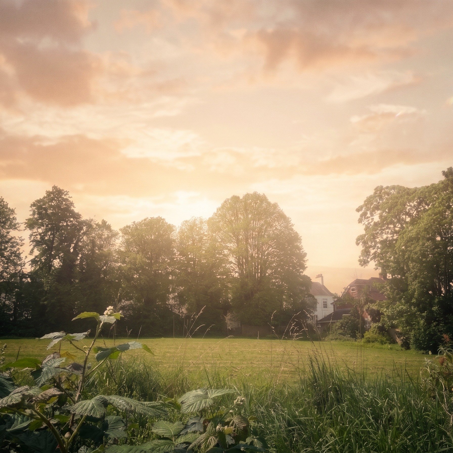 What do you dream of? A five aside football pitch? A city farm? Outdoor learning for local schools? 

Take our 2 minute survey via the link on our website to have your say. 

#savebramdeanfield