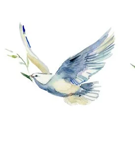 doveblue.jpg