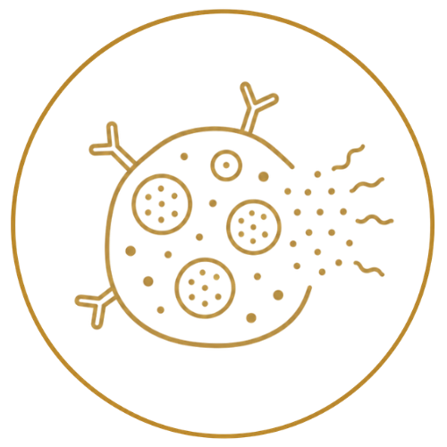 Functional Medicine Icons