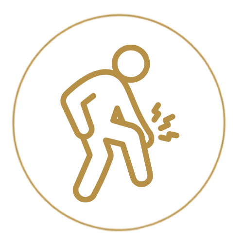 Functional Medicine Icons