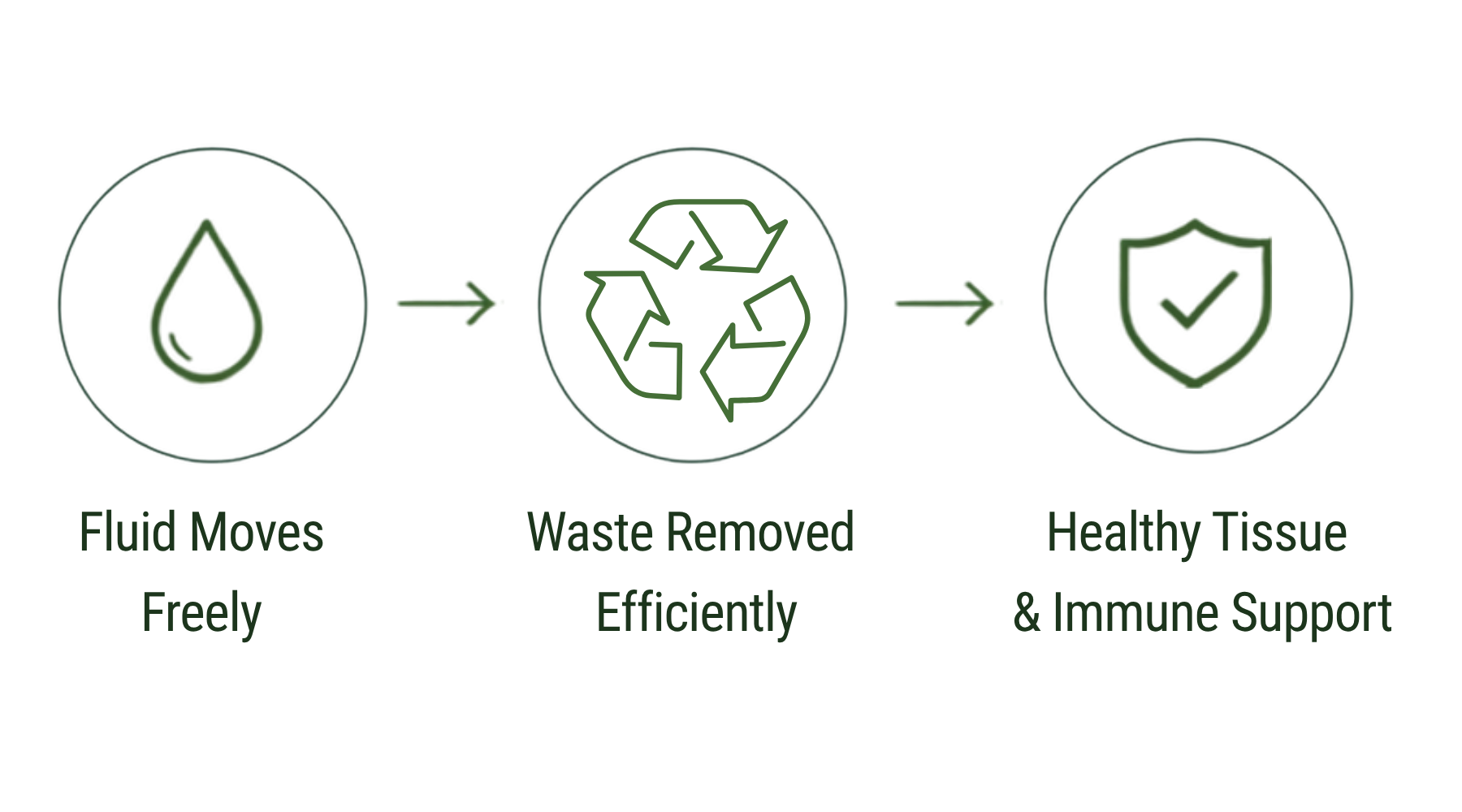 Diagram showing the process of filtration where fluid moves freely, waste is removed efficiently through recycling, leading to healthy tissue and immune support.