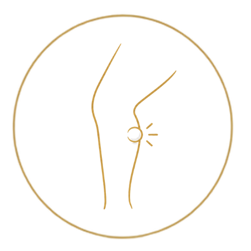 Functional Medicine Icons