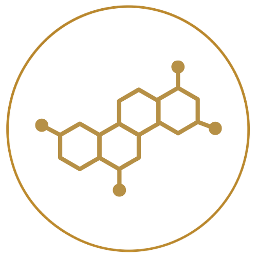 Functional Medicine Icons