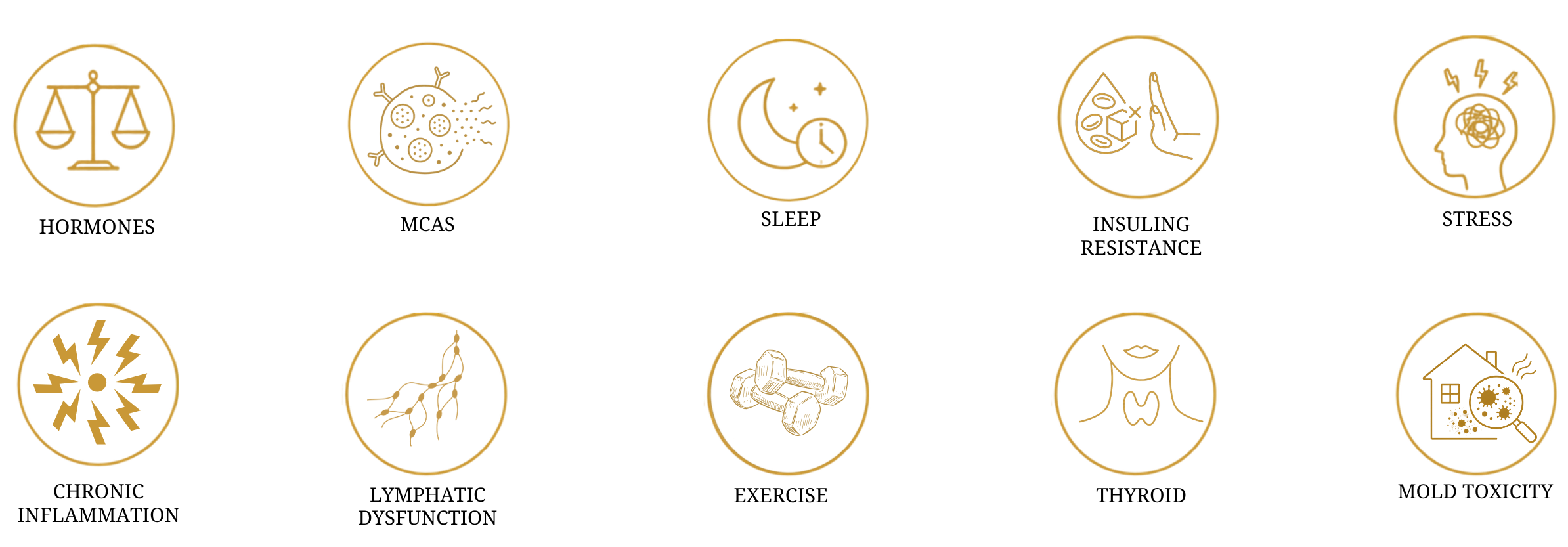 Row of wellness and health icons with gold outlines on black background, including symbols for balance, germs, sleep, nutrition, mental health, energy, blood vessels, muscles, thyroid, and environmental health.