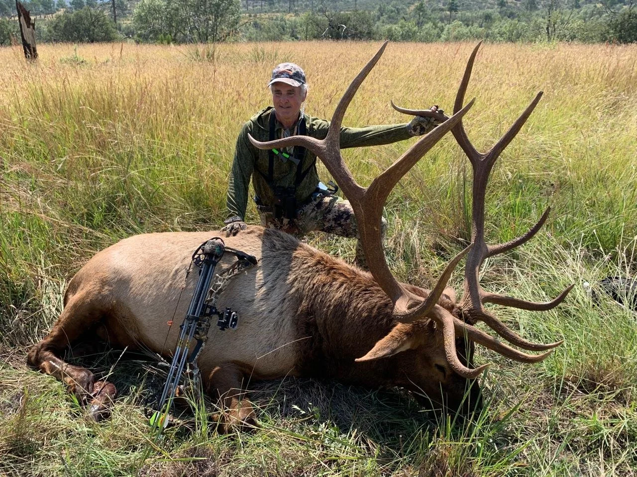 Mexico elk hunting