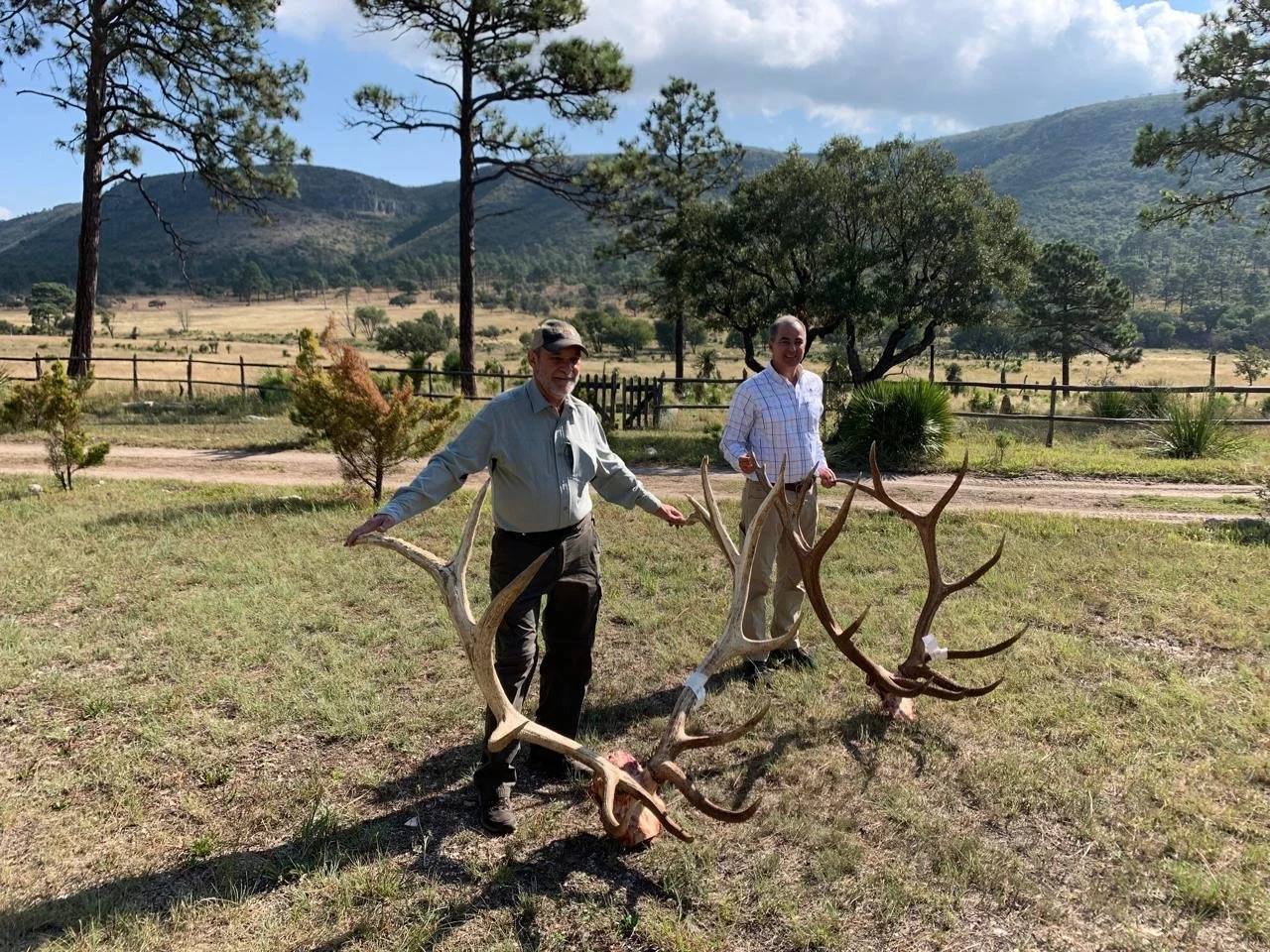 Mexico elk hunting