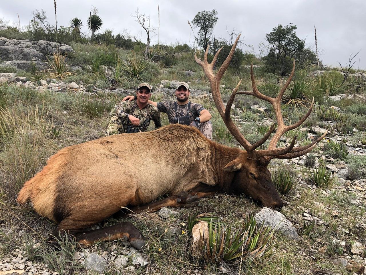 Mexico Elk Hunting