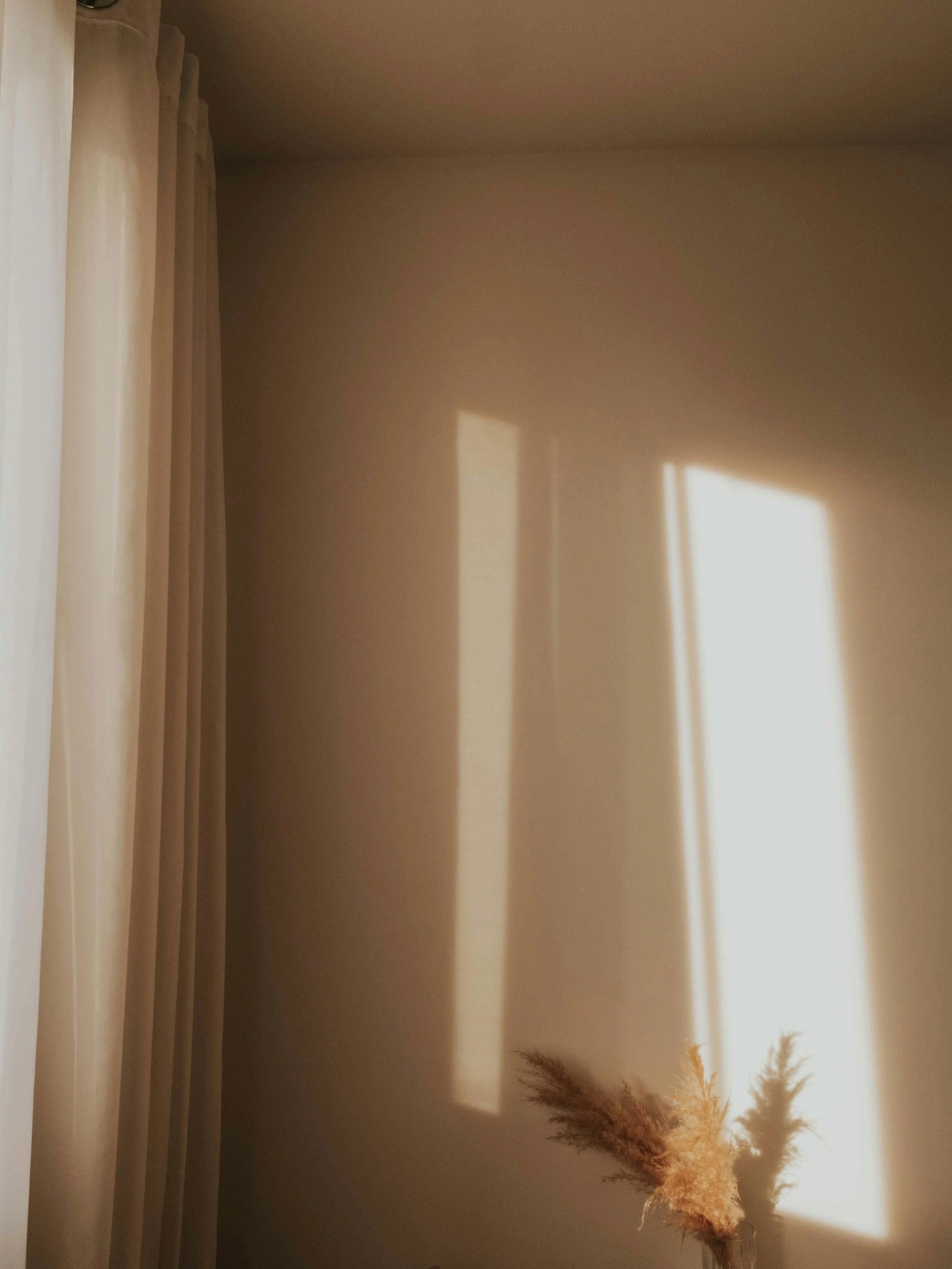 A soothing, warm aesthetic image representing the validating and supportive environment of the online perimenopause therapy group at Made Whole Counseling.