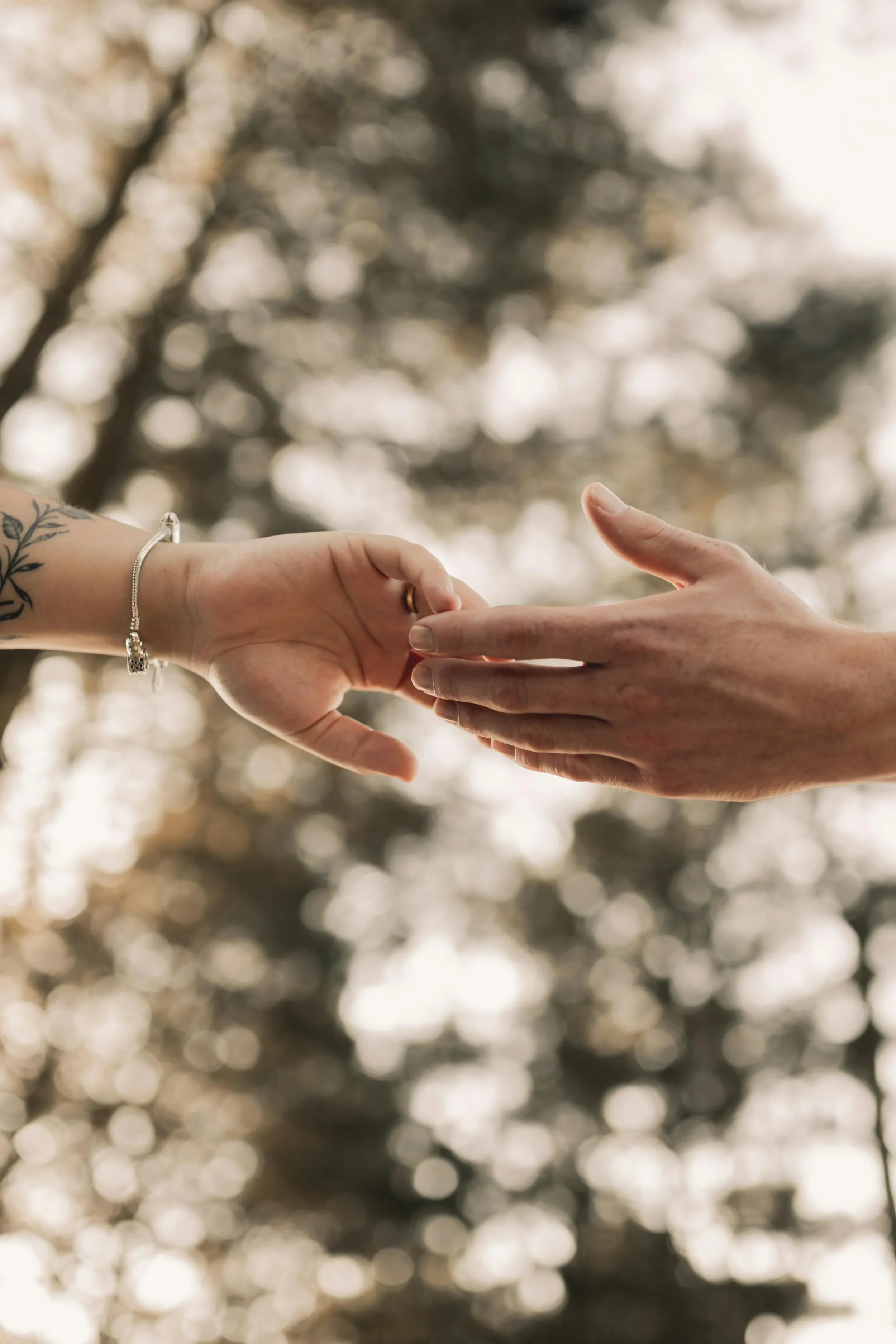 Hands reaching out in a Pacific Northwest forest environment, symbolizing guidance and healing through Made Whole Counseling in West Seattle.