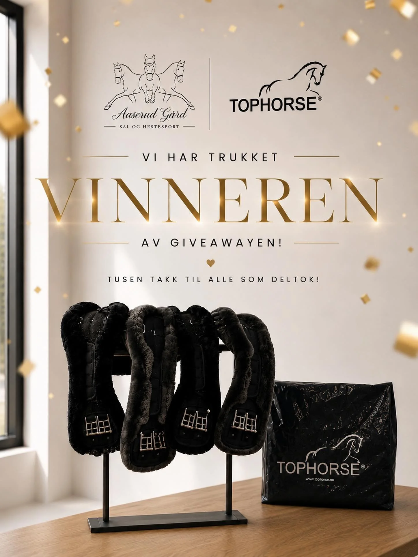 🎉 GRATULERER TIL VINNEREN! 🎉

Tusen takk til alle som deltok i konkurransen 💖
Det var utrolig g&oslash;y &aring; se s&aring; mange v&aelig;re med!

Den heldige vinneren denne gangen er ✨ @flausious ✨

Du har vunnet:
🐴 En valgfri Mattes-gjord
💬 G