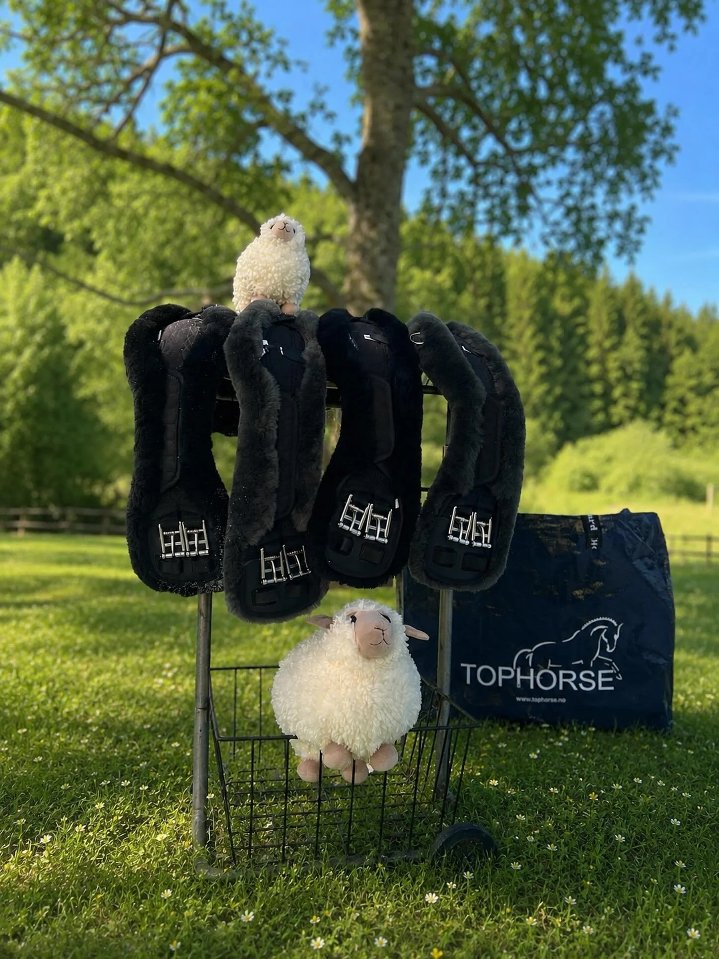 🚨 GIVEAWAYEN AVSLUTTES SNART! 🚨

N&aring; er det bare f&aring; dager igjen til vi trekker den heldige vinneren 😍🐴 Har DU husket &aring; f&oslash;lge @aaserud.saloghestesport og @tophorse.no for &aring; v&aelig;re med i trekningen? 👀✨

Du kan vin