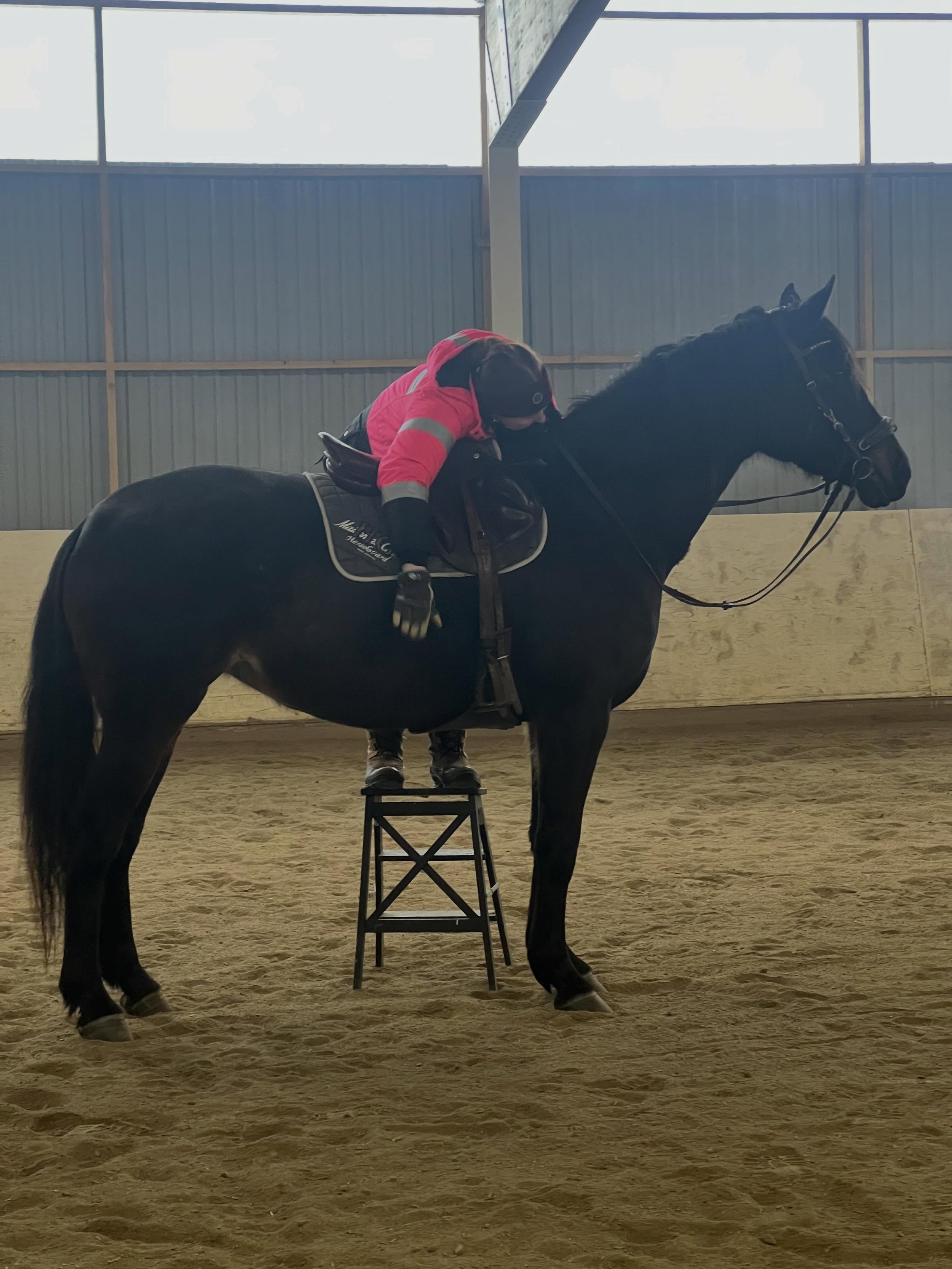 Hei alle nye og gamle f&oslash;lgere 👋✨

Den siste tiden har vi f&aring;tt mange nye f&oslash;lgere her p&aring; Instagram, spesielt etter giveawayen vi har sammen med TopHorse 🐴🎉 Velkommen til dere alle sammen! Det er utrolig hyggelig &aring; ha 