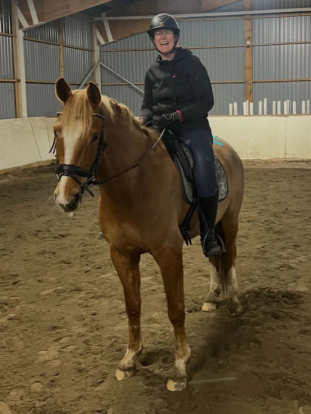 🎄Luke 22 🎄

Dette er Hassan, hesten vi tydeligvis bare har rare bilder av 🐴📸
Litt ungdomskrimin ell kanskje, men f&oslash;rst og fremst en supergrei gutt ❤️

Vi krysser fingrene for at han dukker opp i paraklassene p&aring; ny&aring;ret 🤞✨ 

@he