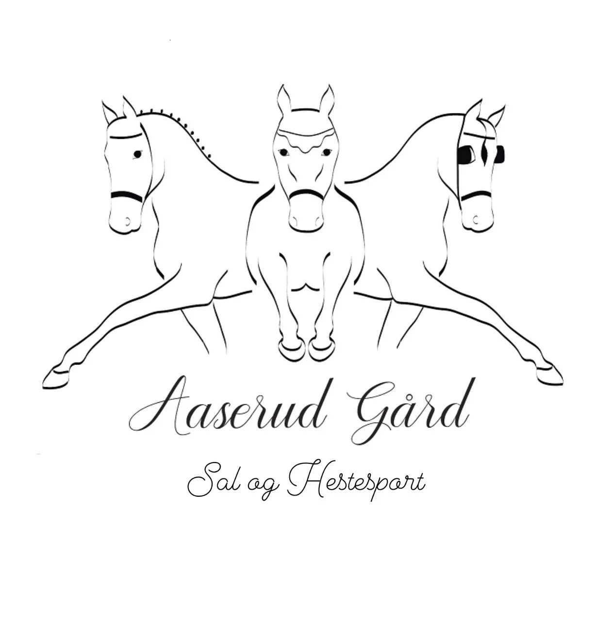 Aaserud Sal og Hestesport