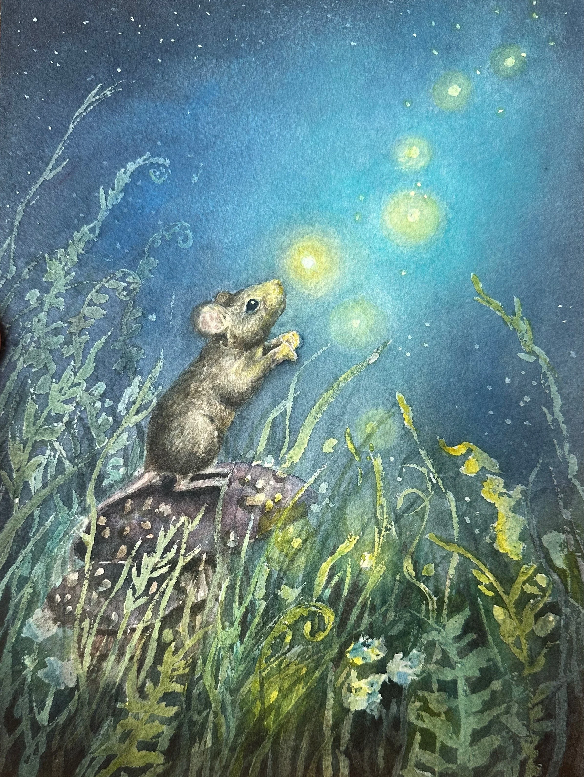 Where the Fireflies Lead