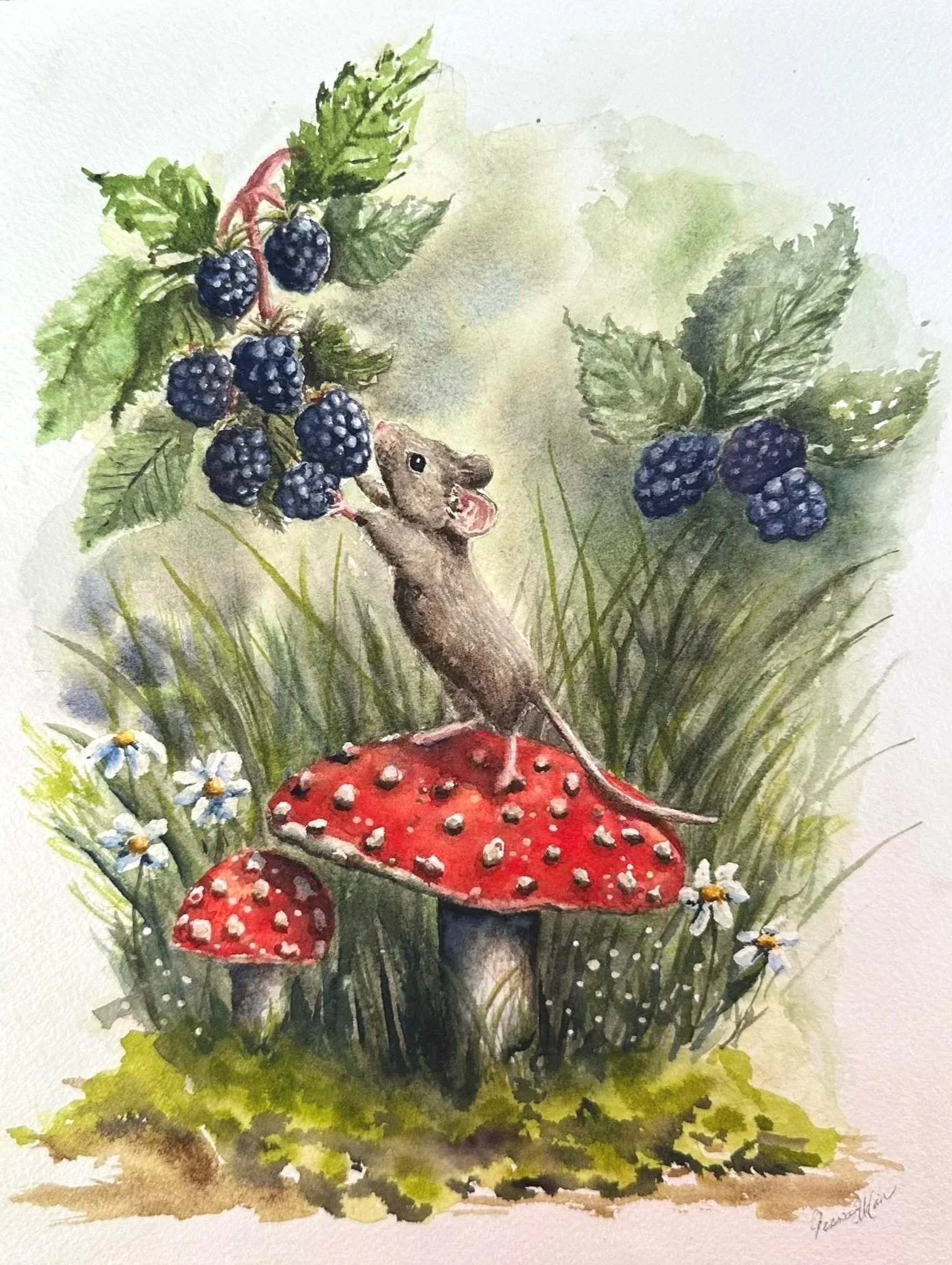 A Woodland Treat