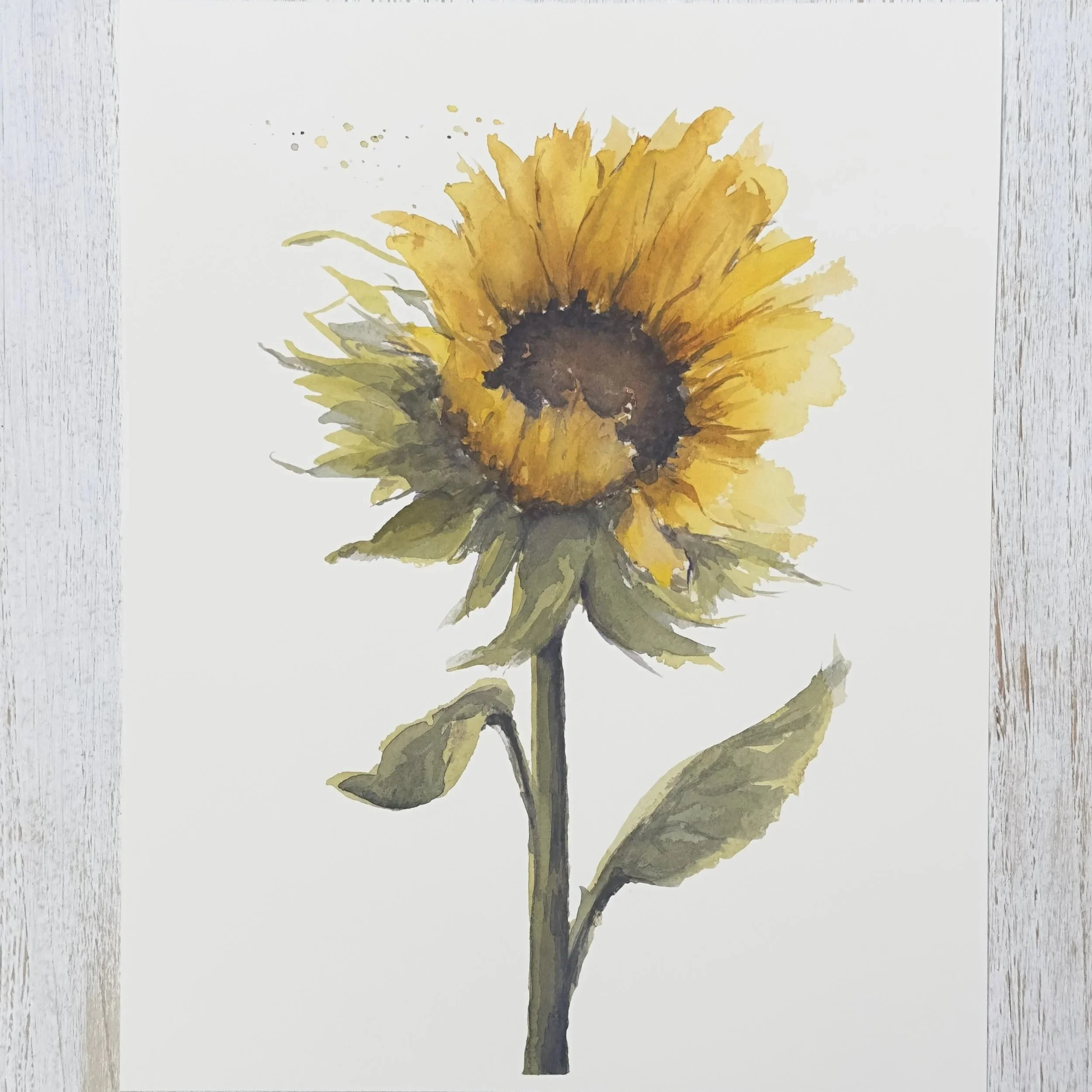Single Sunflower Fine Art Print