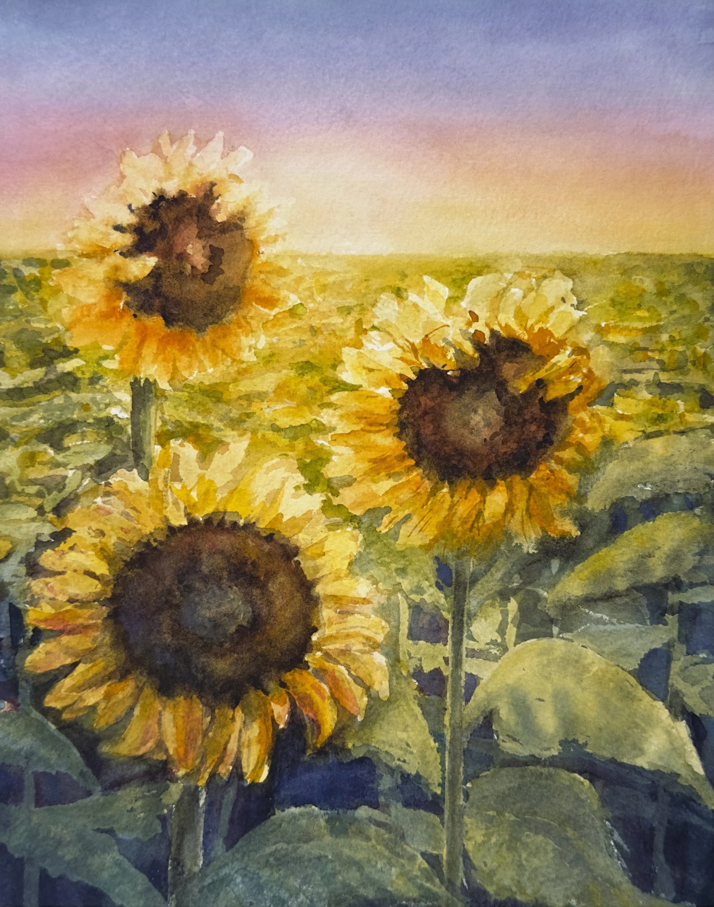 Sunflower Trio Fine Art Print