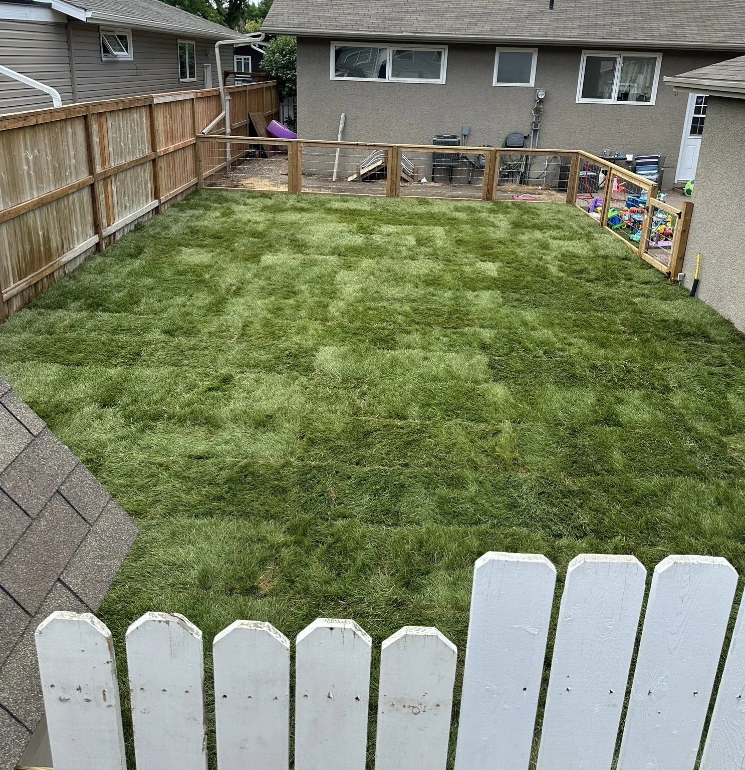 A backyard with freshly mowed green grass, a white picket fence in the foreground, a wooden fence along the left side, and a house with gray siding and several windows in the background. There are children's toys and equipment near the house.