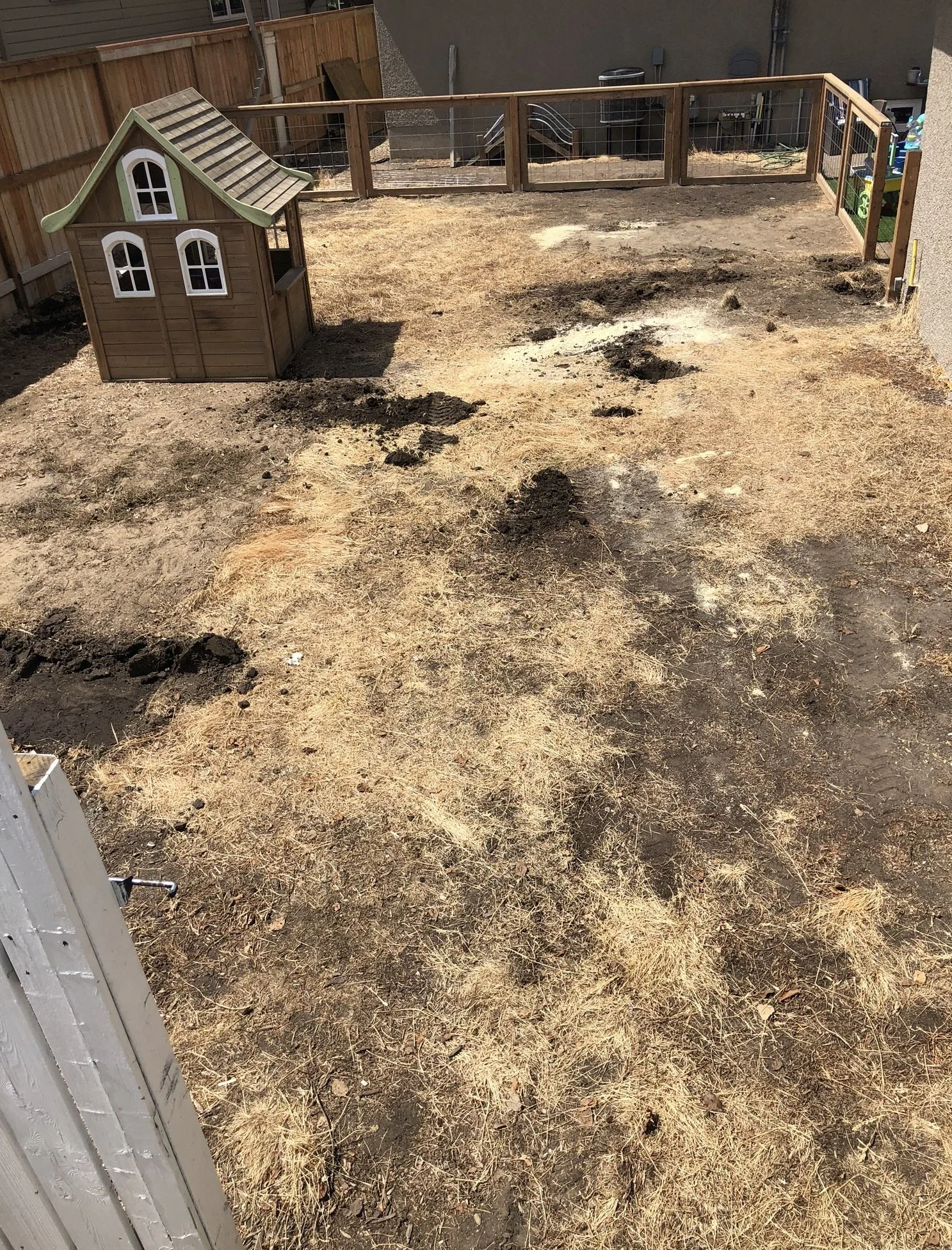 A backyard with brown grass and patches of exposed soil, enclosed by a wooden fence. A small brown and green playhouse is in the corner. The yard appears to be under renovation or cleaning, with scattered dirt and debris.