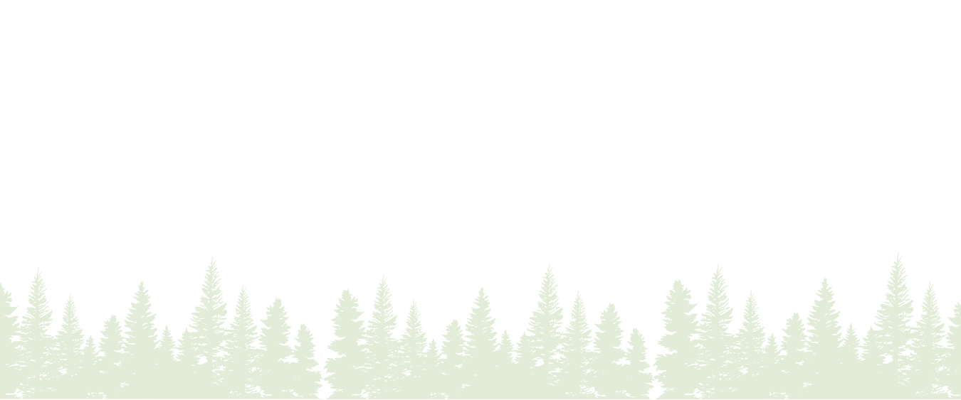 Silhouette of a forest with green trees against a black sky.