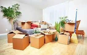 Living room with furniture and moving boxes, some open with items inside, in a bright room with a large potted plant, wooden chair, and window with white curtains.