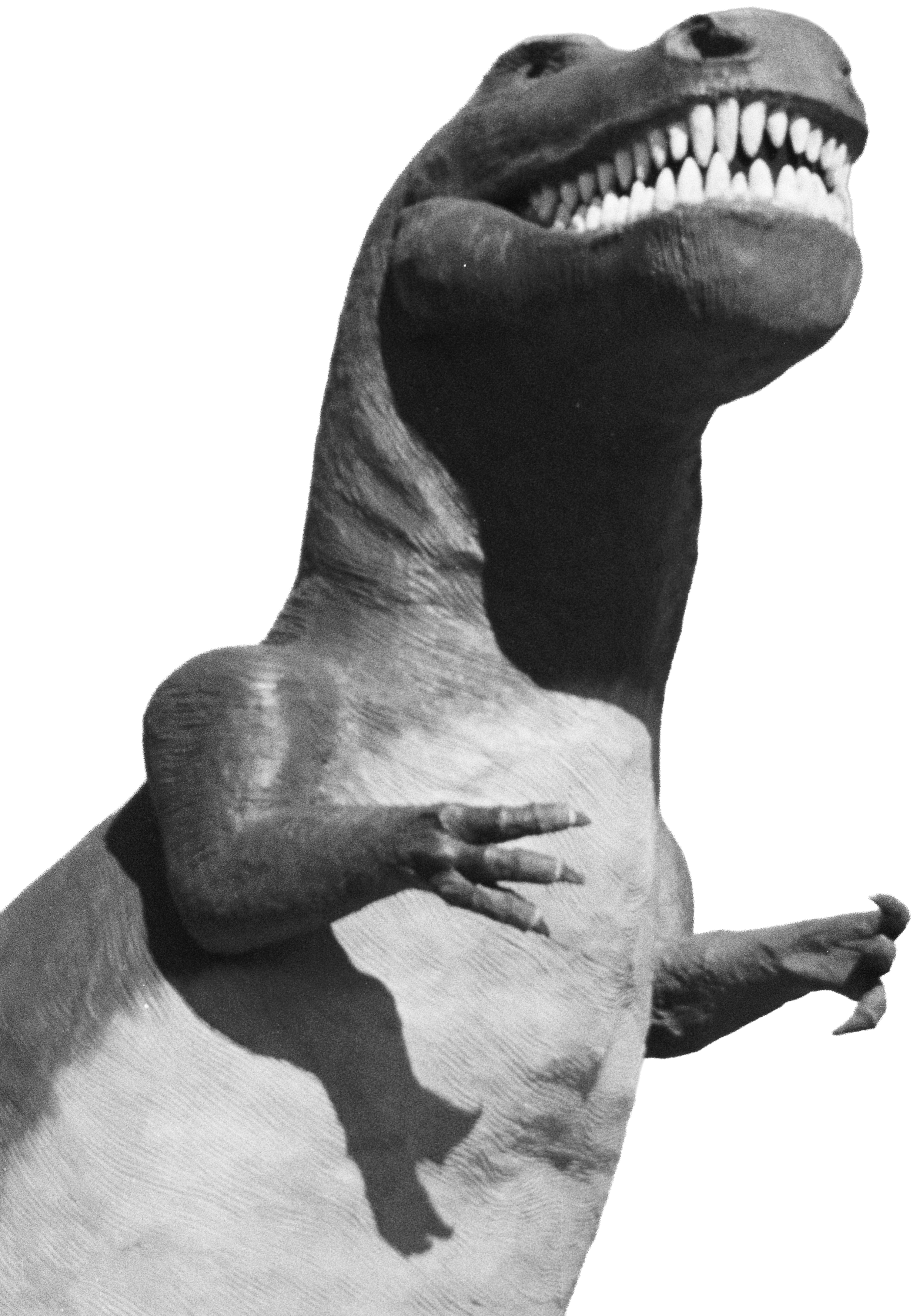 Black and white image of a dinosaur with their mouth open, showing teeth, with one hand on their chest.