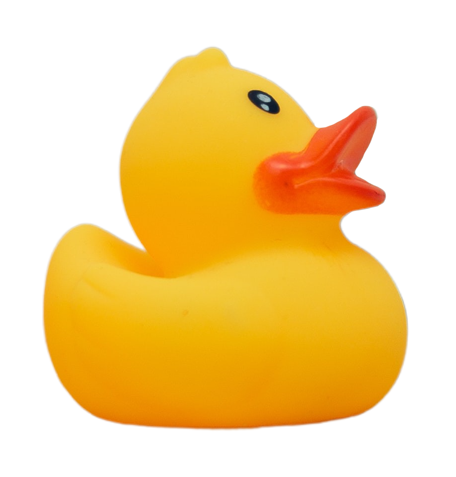 Rubber duck toy with yellow body and orange beak, facing to the right.