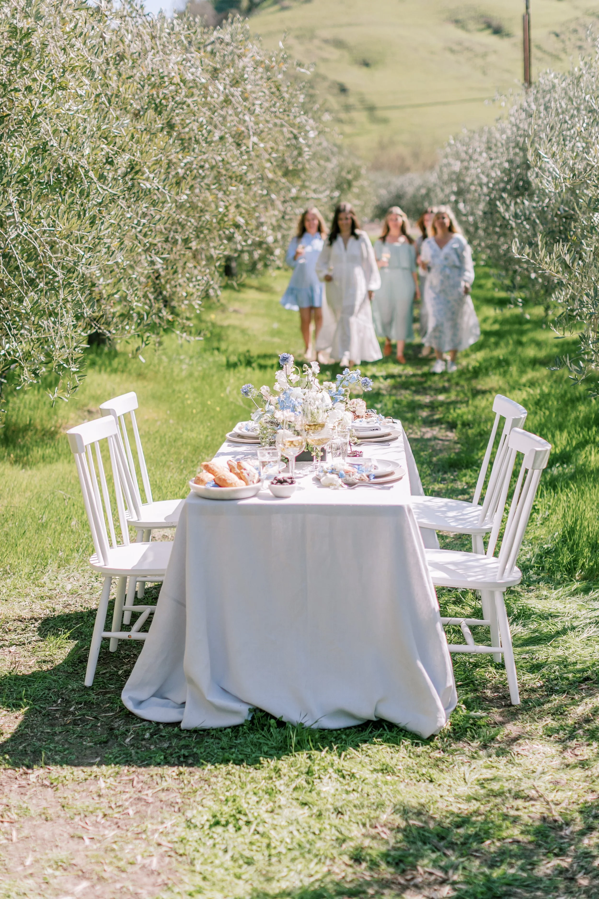Outdoor dining table with a white tablecloth and floral centerpiece, set with plates, glasses, and pastries, surrounded by white chairs, in a grassy area with an olive grove in the background and a group of women walking along the path.