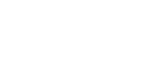 FODS | The Intelligent Formula System