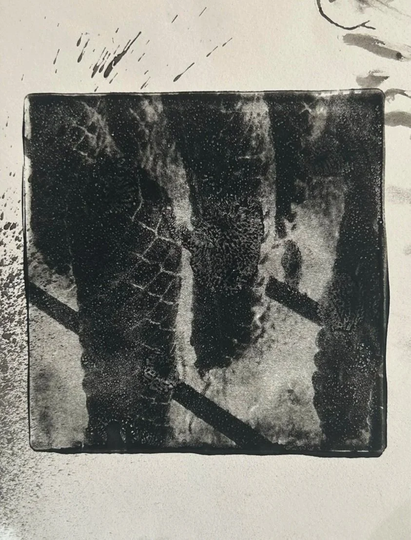 MONOTYPE / JELLY PRINT SERIES